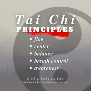 tai chi principles: flow, center, balance, breath control and awareness